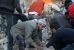 قتل عام وحشیانهٔ 392 نفر در یک روز در سوریه